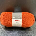 FIO NETUNO CIRCULO 100g  R$ 23,00